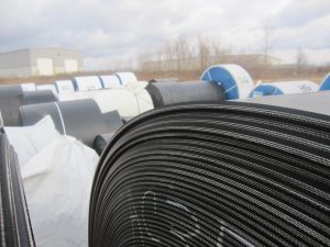 IMG_5926